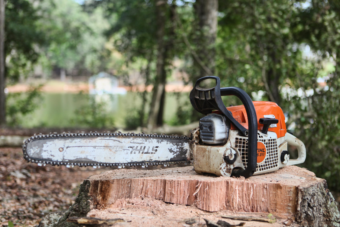 Davids complete, davids complete tree service, davids complete lawn service, davids complete yard service, Anderson sc, tree care Anderson sc, lawn and yard care Anderson sc, david baker,  best tree care Anderson sc, tree removal, tree trimming, safe tree removal, tree specialist