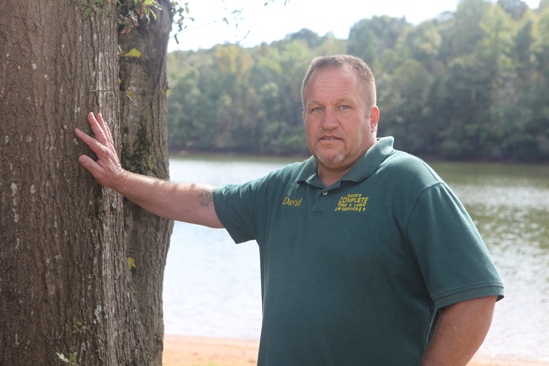 Davids complete, davids complete tree service, davids complete lawn service, davids complete yard service, Anderson sc, tree care Anderson sc, lawn and yard care Anderson sc, david baker,  best tree care Anderson sc, tree removal, tree trimming, safe tree removal, tree specialist