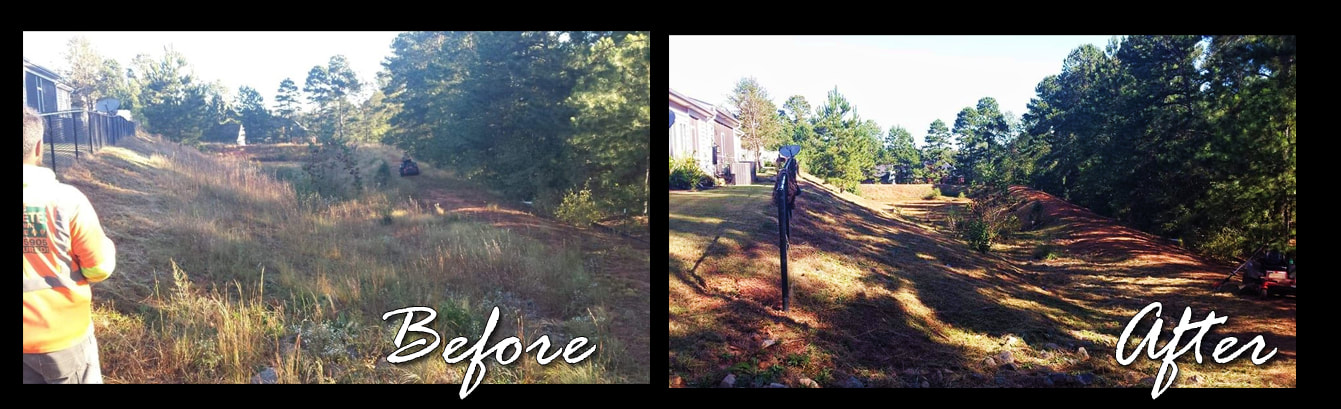 Davids Complete Lawn Services, Davids Complete Anderson SC, Lawn Care in Anderson, HOA, Home Owners Associations, David Baker