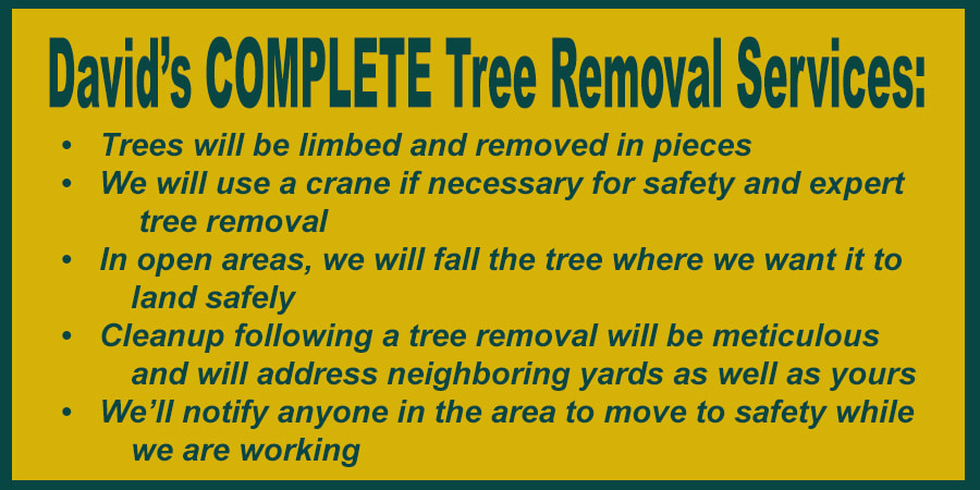 Davids complete, davids complete tree service, davids complete lawn service, davids complete yard service, Anderson sc, tree care Anderson sc, lawn and yard care Anderson sc, david baker,  best tree care Anderson sc, tree removal, tree trimming, safe tree removal, tree specialist