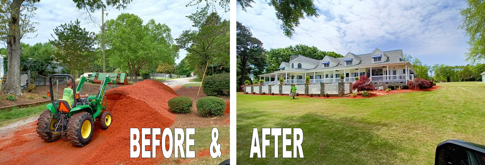 Picture Davids complete, davids complete tree service, davids complete lawn service, davids complete yard service, Anderson sc, tree care Anderson sc, lawn and yard care Anderson sc, david baker,  best tree care Anderson sc, tree removal, tree trimming, safe tree removal, tree specialist 