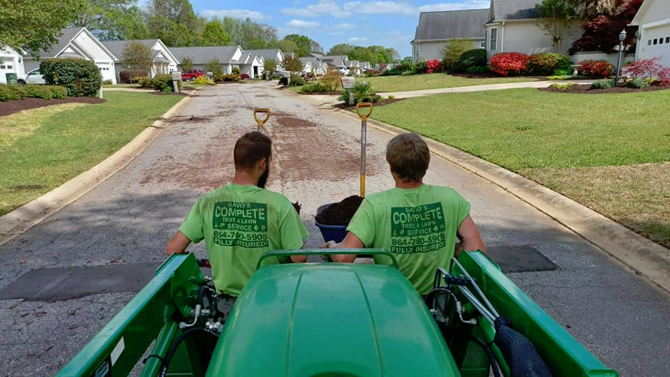 David's Complete Lawn services offers dependable, consistent yard care 
